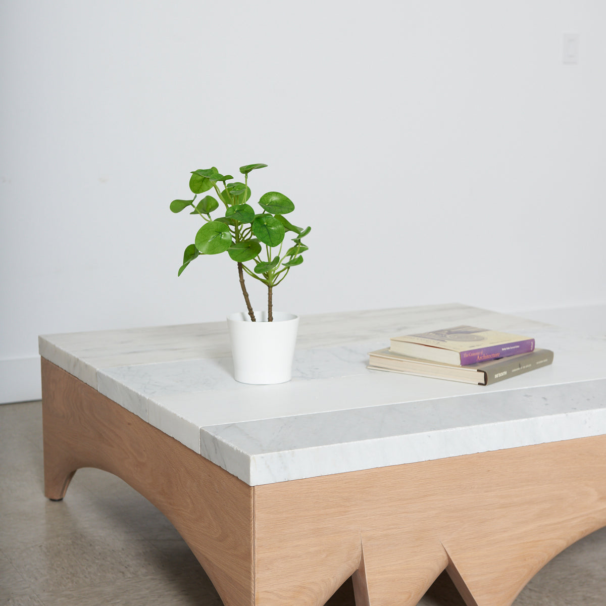 Modern coffee table with a plant and books on a plain background
