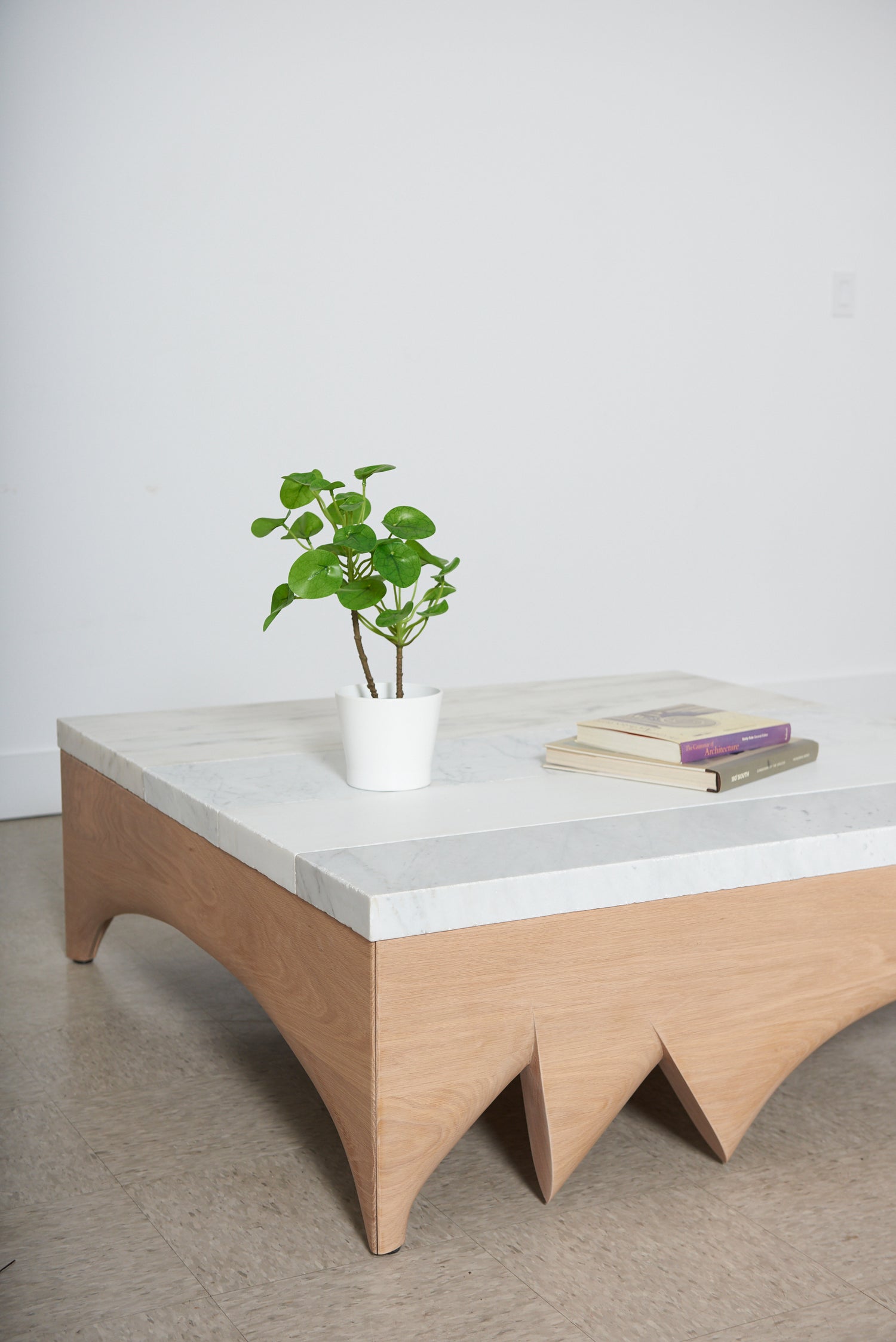 Modern coffee table with a plant and books on a plain background
