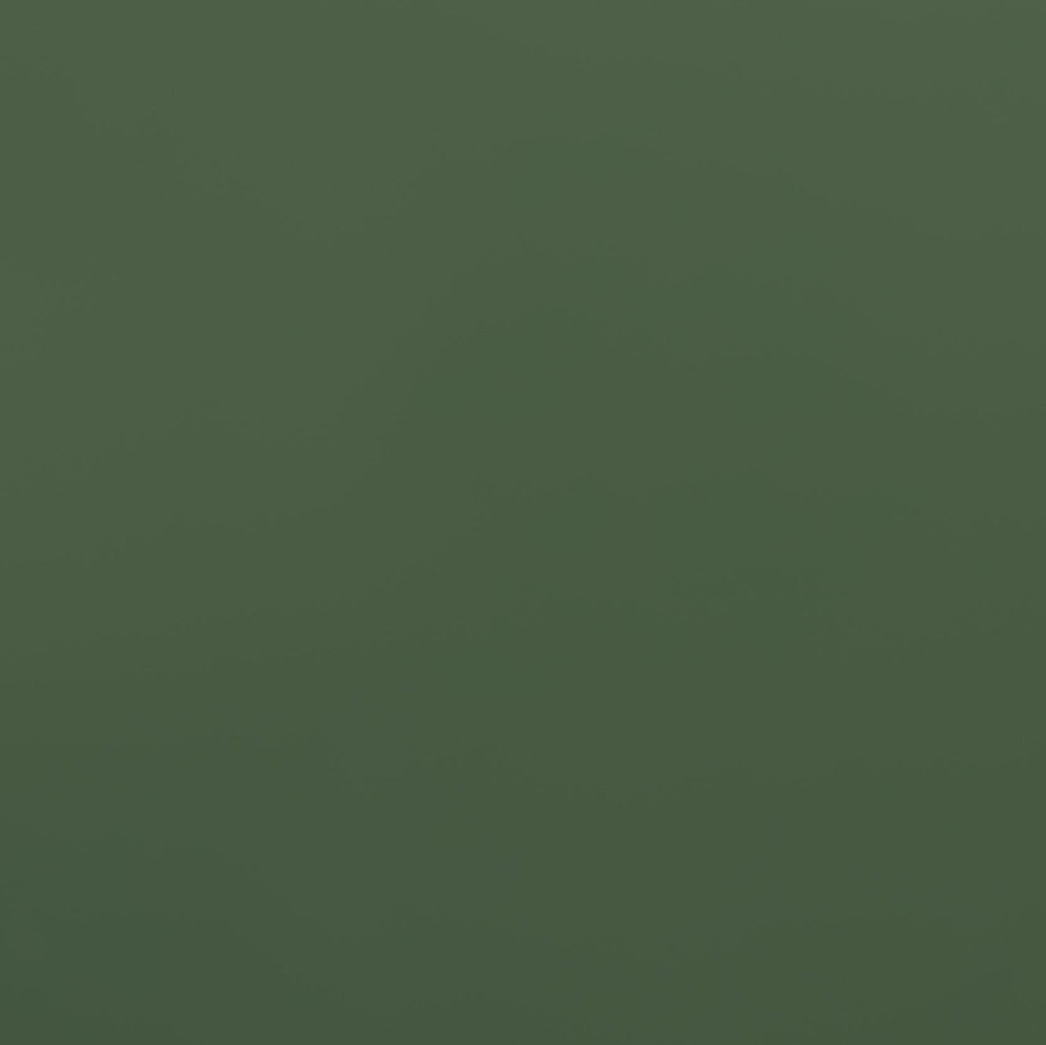 Olive Green high gloss lacquer color swatch