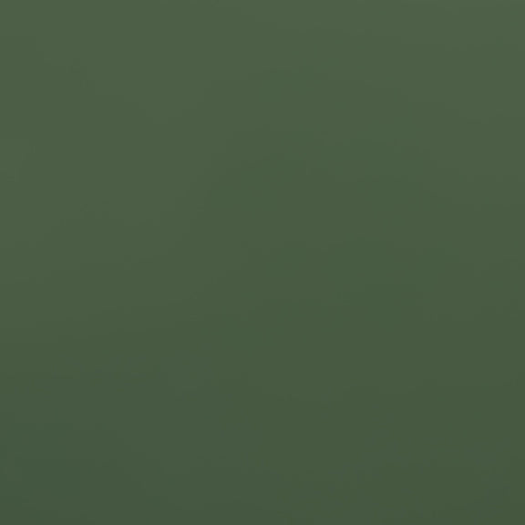 Olive Green high gloss lacquer color swatch